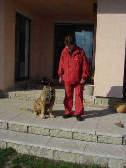 Bára